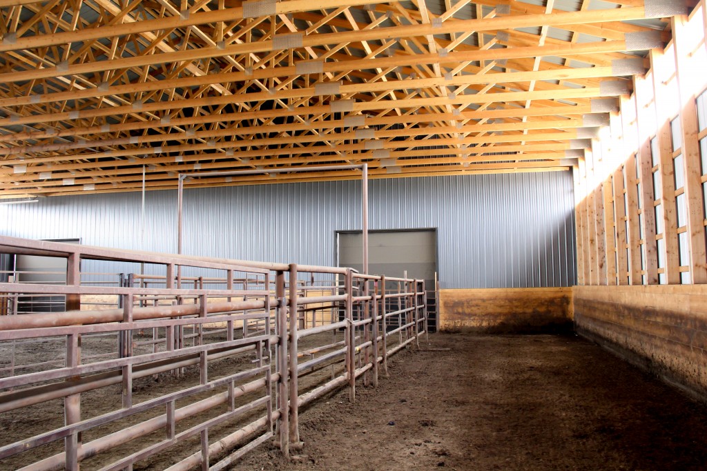 livestock